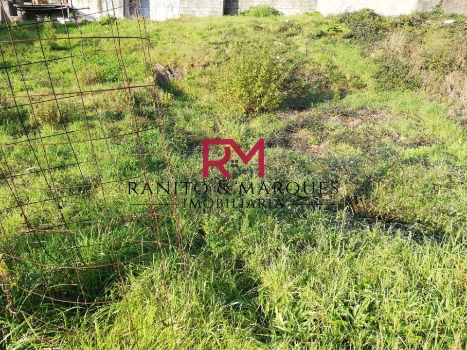 Terreno para Venda em Campo e Sobrado Foto 4