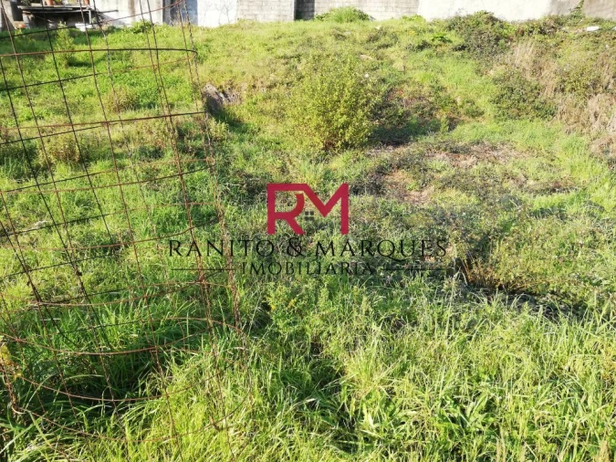 Terreno para Venda em Campo e Sobrado Foto 4