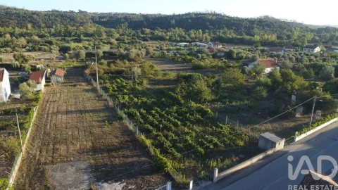 Terreno para Venda em Seiça
