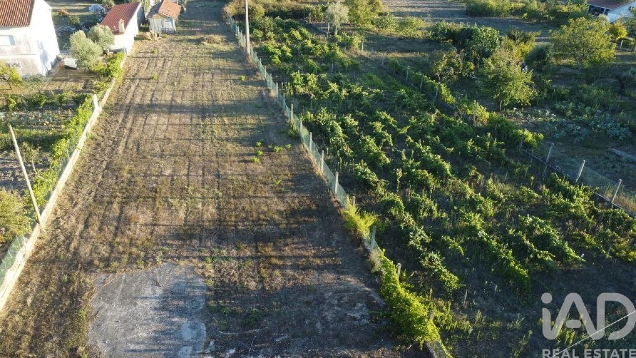 Terreno para Venda em Seiça Foto 1