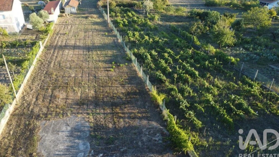 Terreno para Venda em Seiça