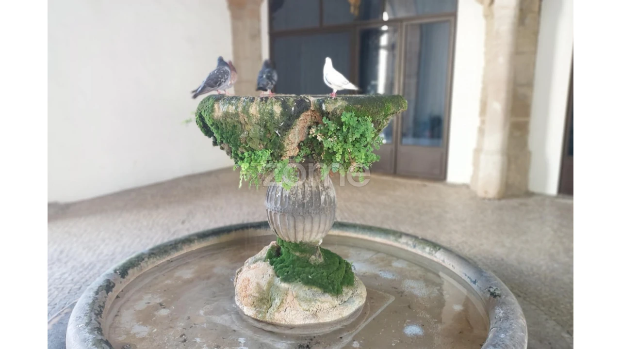 Negócio para Venda em Alcobaça e Vestiaria Foto 33