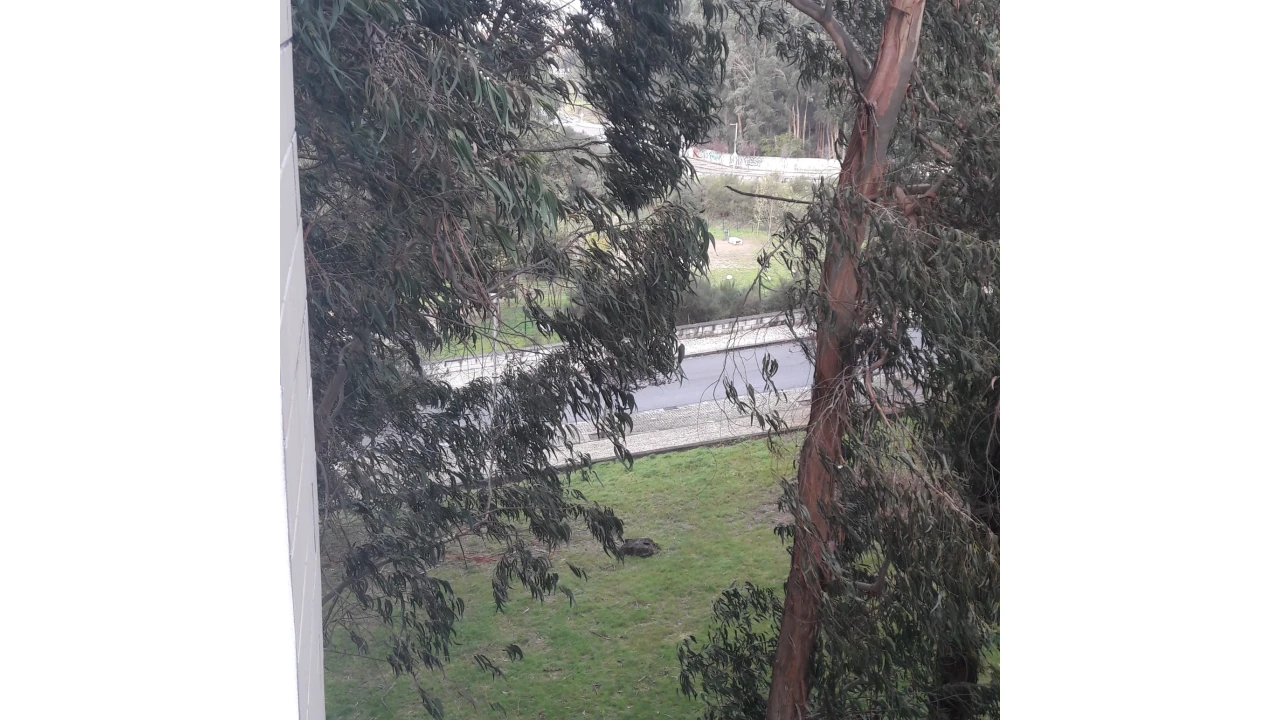 Terreno para Venda em Paranhos Foto 12