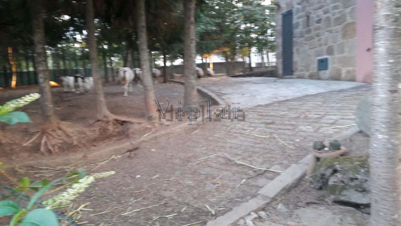 Quinta T3 para Venda em Oldrões Foto 5