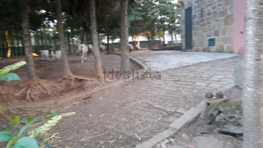 Quinta T3 para Venda em Oldrões Foto 5