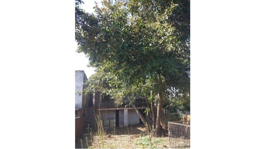 Moradia T3 para Venda em Santa Marinha e São Pedro da Afurada Foto 4