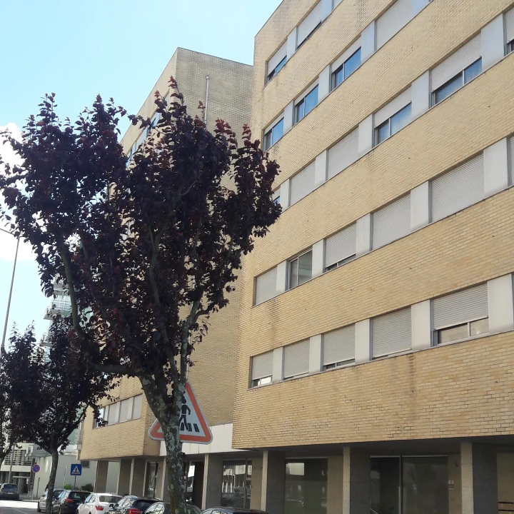 Loja para Arrendamento em Pedrouços Foto 12