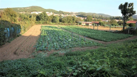Terreno para Venda em Alfena