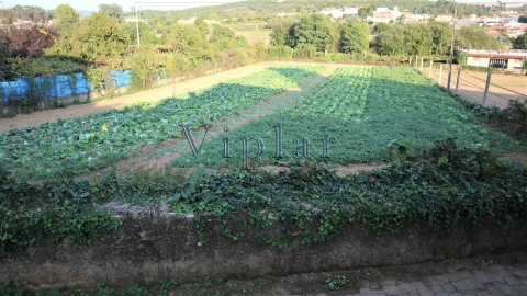 Terreno para Venda em Alfena
