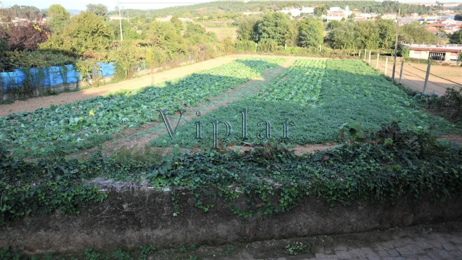 Terreno para Venda em Alfena Foto 2
