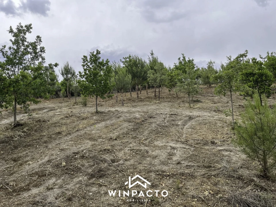 Terreno Misto para Venda em Mangualde, Mesquitela e Cunha Alta Foto 5