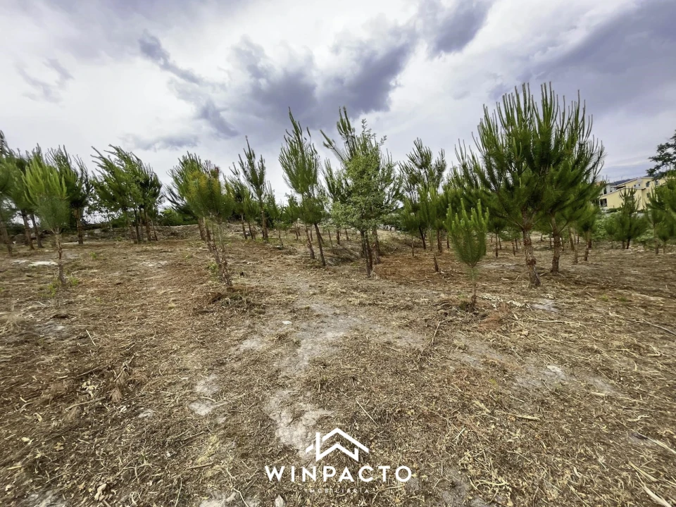 Terreno Misto para Venda em Mangualde, Mesquitela e Cunha Alta Foto 6