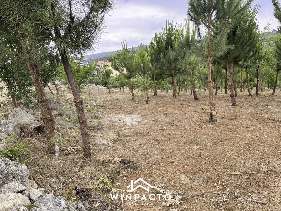 Terreno Misto para Venda em Mangualde, Mesquitela e Cunha Alta Foto 9
