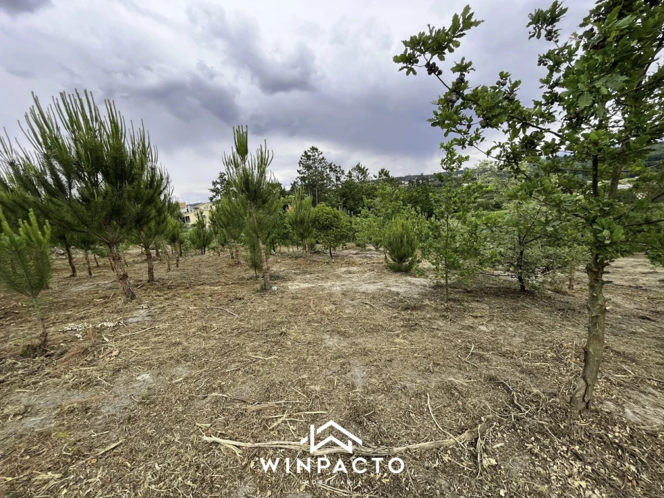 Terreno Misto para Venda em Mangualde, Mesquitela e Cunha Alta Foto 10