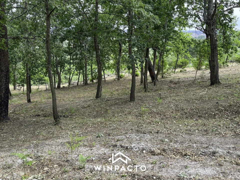 Terreno Misto para Venda em Mangualde, Mesquitela e Cunha Alta Foto 2