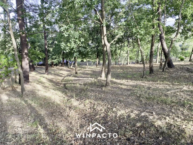 Terreno Misto para Venda em Mangualde, Mesquitela e Cunha Alta Foto 1
