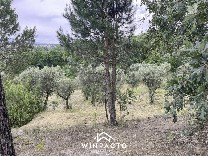 Terreno Misto para Venda em Mangualde, Mesquitela e Cunha Alta Foto 4