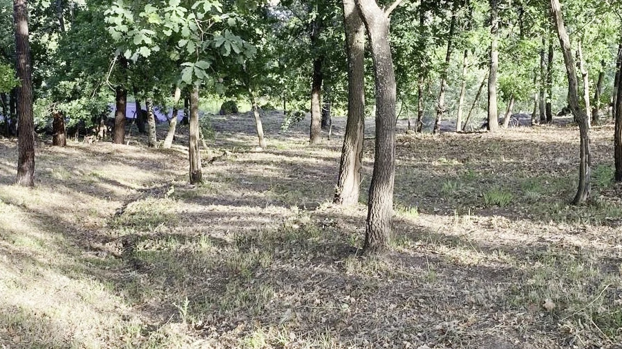 Terreno Misto para Venda em Mangualde, Mesquitela e Cunha Alta