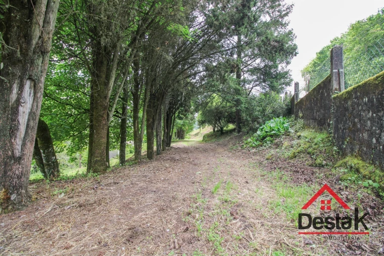 Quinta T4 para Venda em São Pedro do Sul, Várzea e Baiões Foto 21