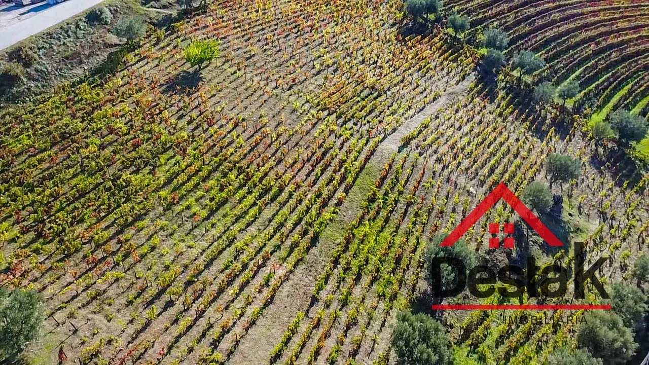 Terreno para Venda em Parada do Bispo e Valdigem Foto 4