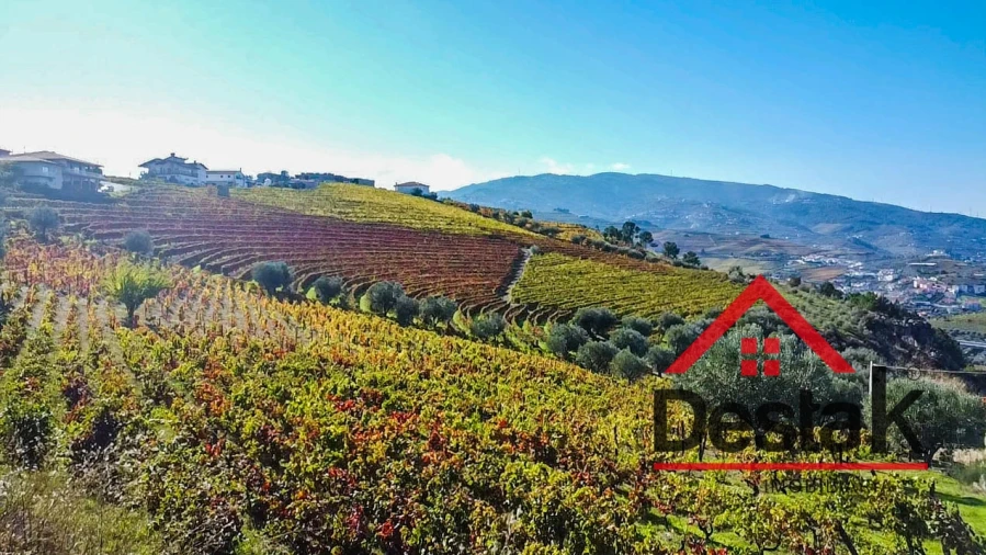 Terreno para Venda em Parada do Bispo e Valdigem Foto 11