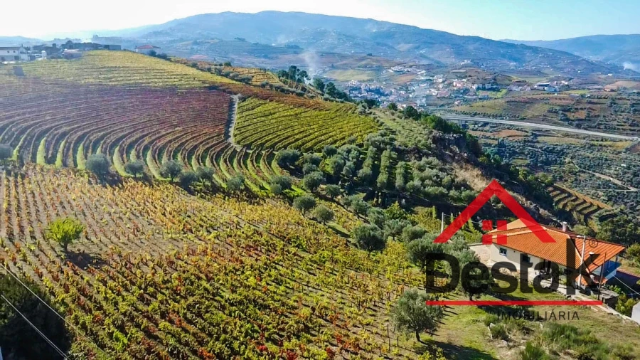 Terreno para Venda em Parada do Bispo e Valdigem Foto 1