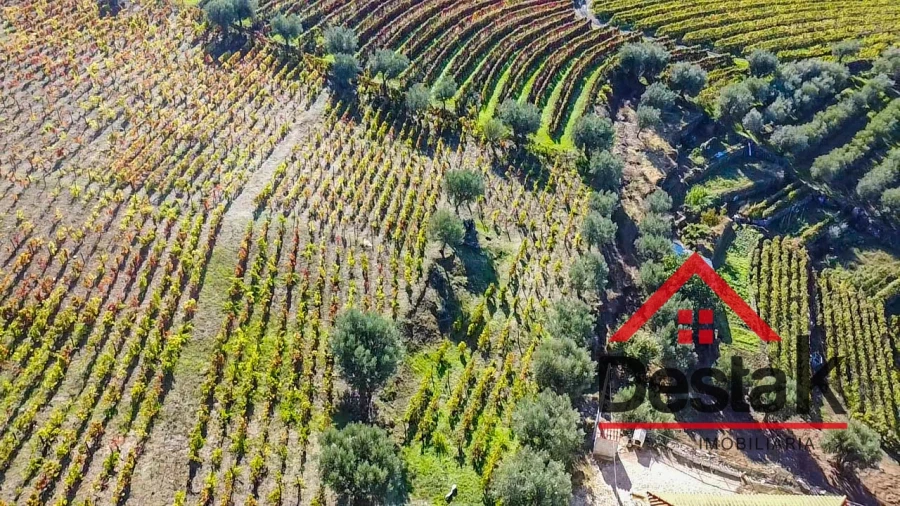 Terreno para Venda em Parada do Bispo e Valdigem Foto 15