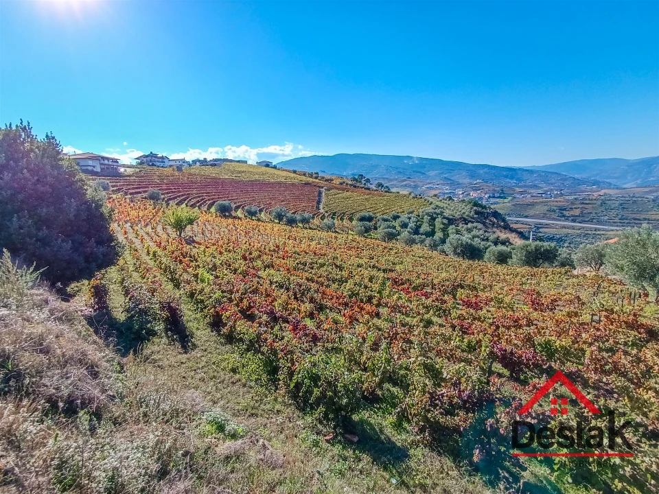 Terreno para Venda em Parada do Bispo e Valdigem Foto 2