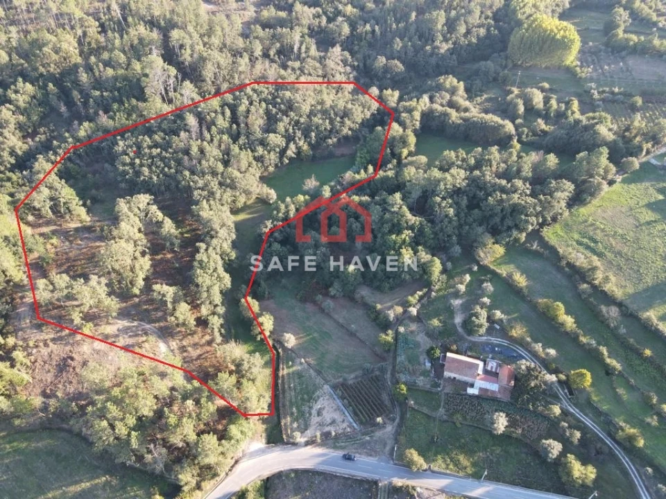 Terreno Agricola ou Rústico para Venda em Castelo de Penalva Foto 1