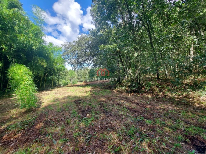 Terreno Agricola ou Rústico para Venda em Castelo de Penalva Foto 5