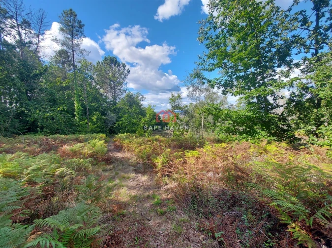 Terreno Agricola ou Rústico para Venda em Castelo de Penalva Foto 2