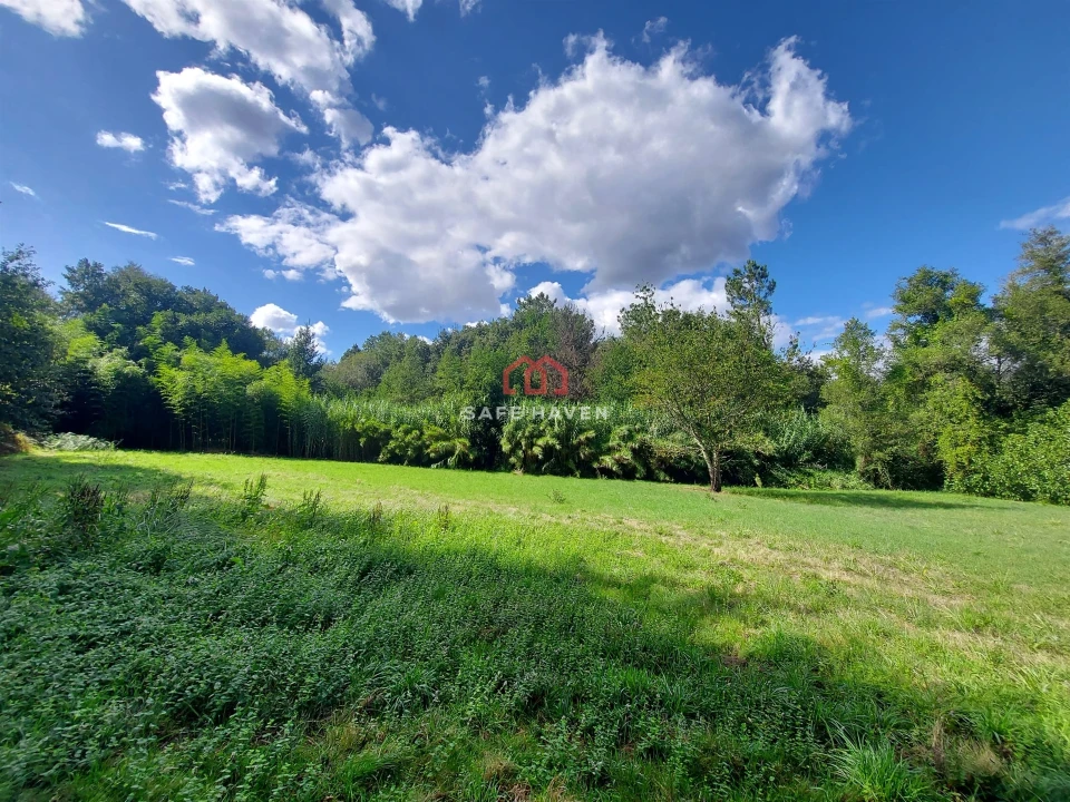 Terreno Agricola ou Rústico para Venda em Castelo de Penalva Foto 3