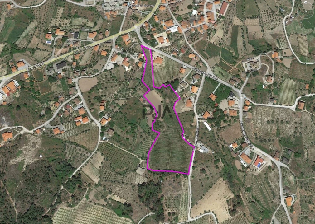 Quinta T0 para Venda em Sezures Foto 13