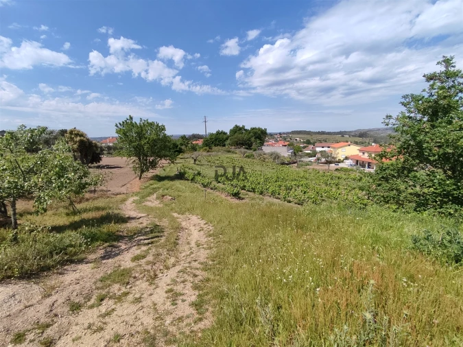 Quinta T0 para Venda em Sezures Foto 7