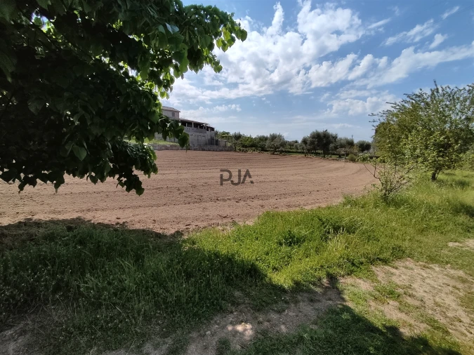 Quinta T0 para Venda em Sezures Foto 6