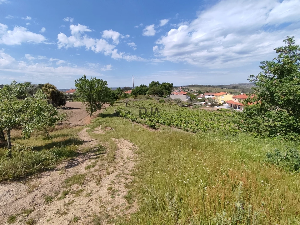 Quinta T0 para Venda em Sezures Foto 7