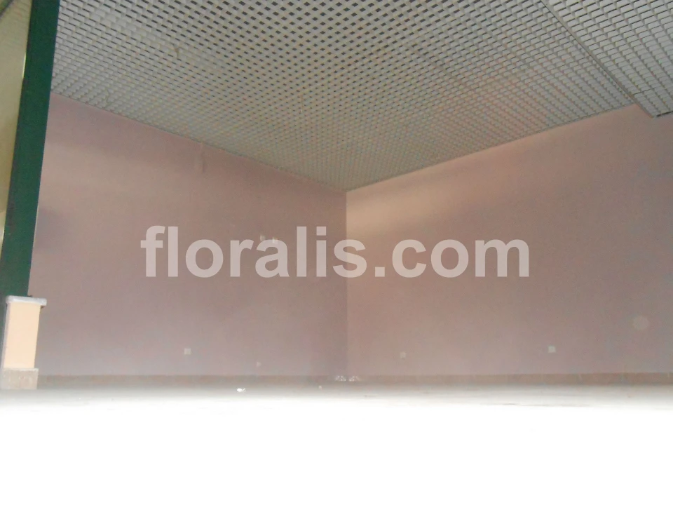 Loja para Venda em Viseu Foto 3