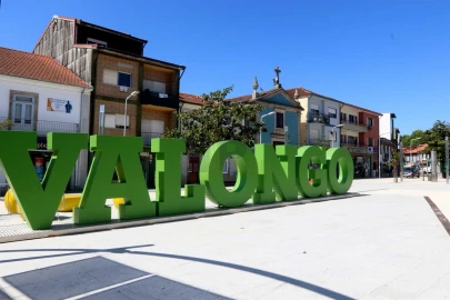 Terreno para Venda em Valongo