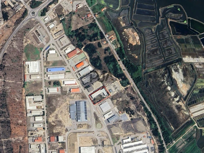 Armazém para Venda em São Pedro Foto 4