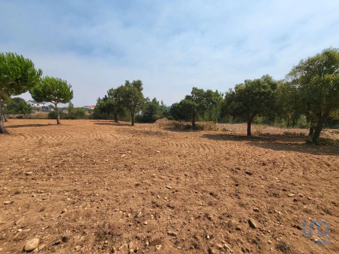 Terreno para Venda em Martinchel Foto 8