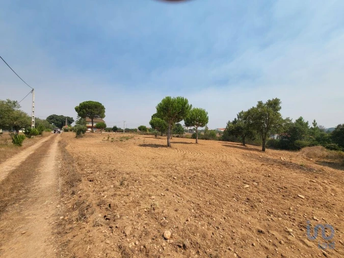 Terreno para Venda em Martinchel Foto 10