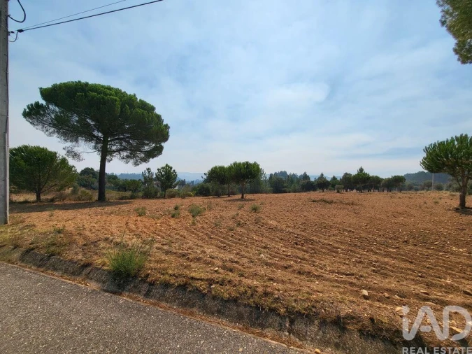 Terreno para Venda em Martinchel Foto 26