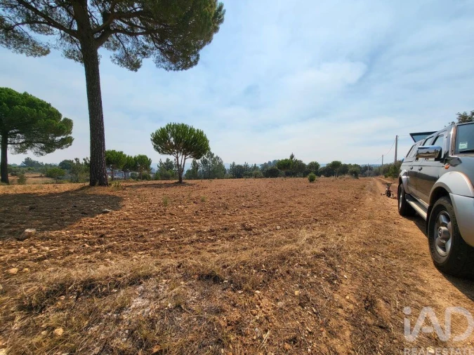 Terreno para Venda em Martinchel Foto 23