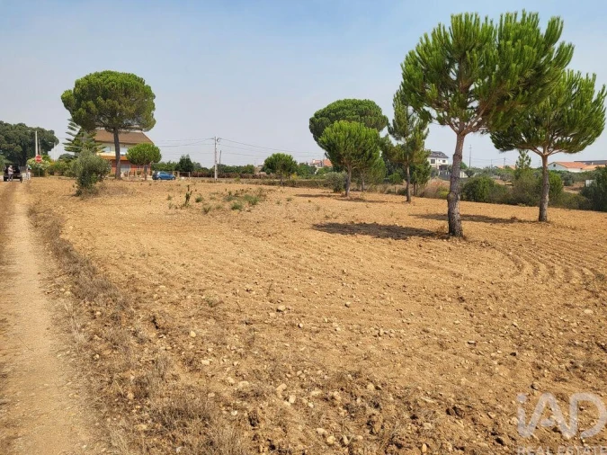 Terreno para Venda em Martinchel Foto 18