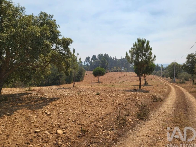 Terreno para Venda em Martinchel Foto 17