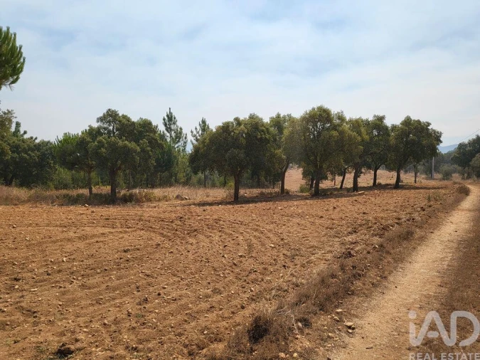 Terreno para Venda em Martinchel Foto 19