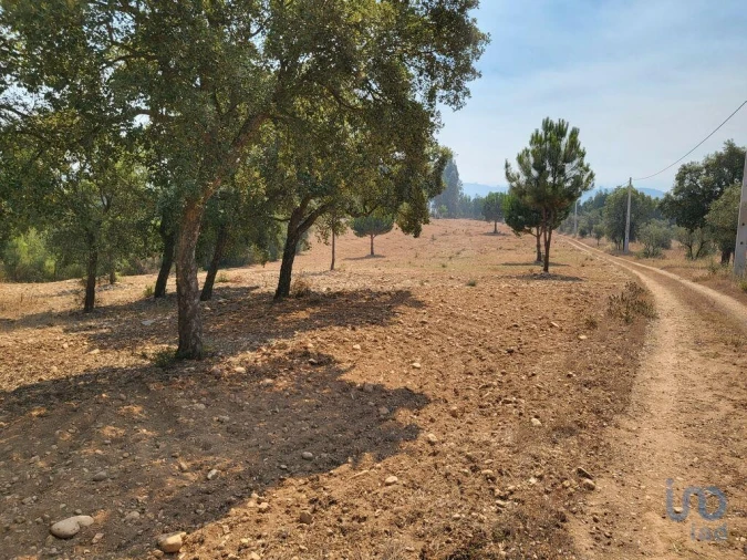 Terreno para Venda em Martinchel Foto 12