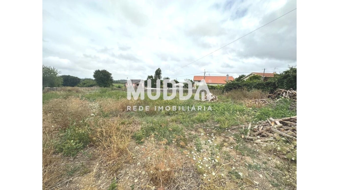 Terreno para Venda em Salreu Foto 3