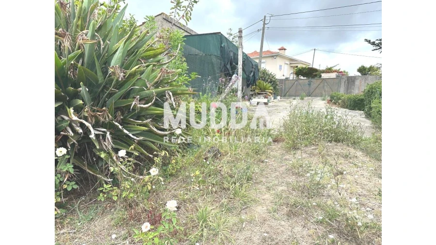 Terreno para Venda em Salreu Foto 5