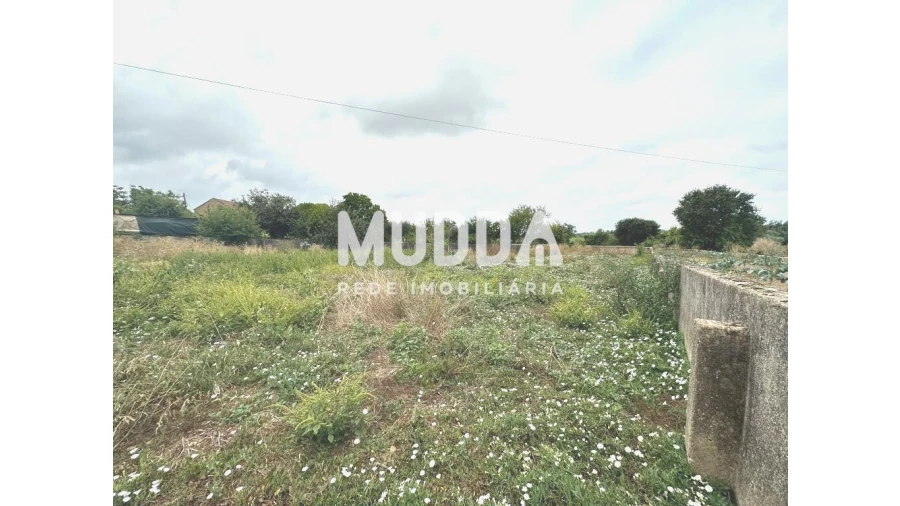 Terreno para Venda em Salreu Foto 4